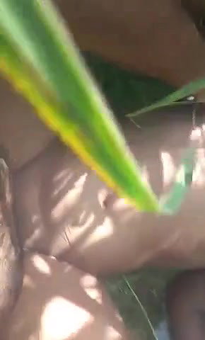 bhabhi ko khet mein choda