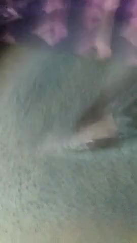 boob show and pussy fingering