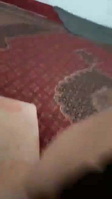 Shy Bhabhi Ne Monh Chupaya Or Choot Dikhai