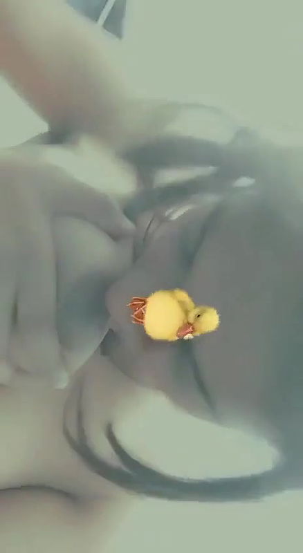 cute young girl boobs lick