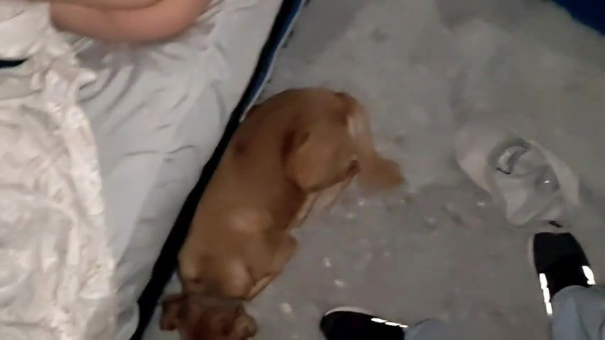 sleeping wife ass pussy close up