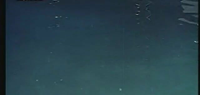 Roshini Outdoor Swimming Pool Sex