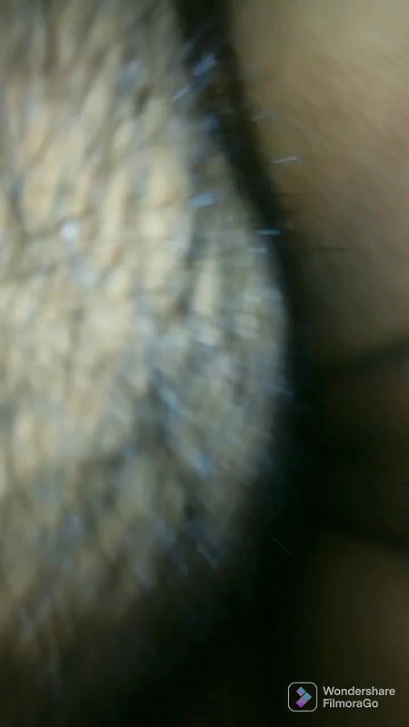 Picsart 26 01 26 13 41 37 428