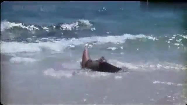 Sapna Hot Bikini Song Boobs Kiss 2