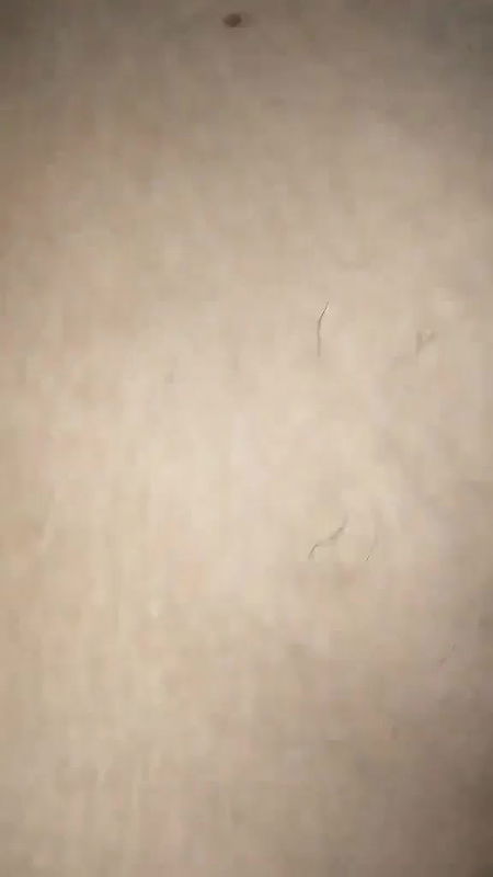 Messenger creation 1639425597069177