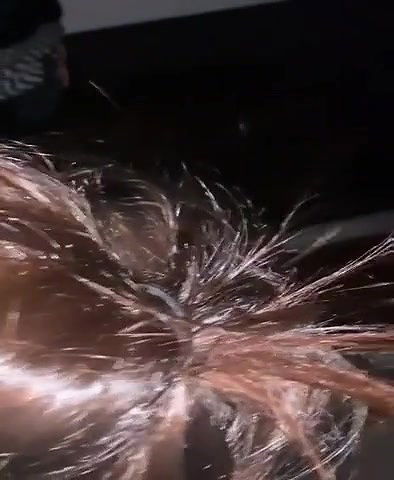 reverse cowgirl sex after bj