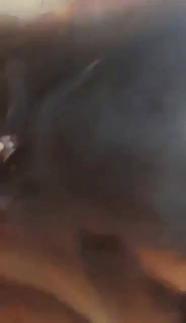 sexy hijabi girl showing nude body and sucking 1