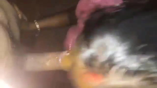 Tamil blowjob wife sucking her husbands