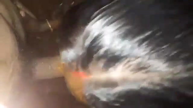 Tamil blowjob wife sucking her husbands