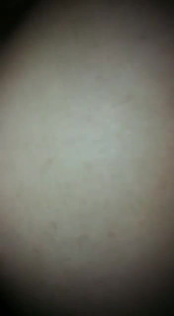 Moaning doggy style sex video for moaning lovers