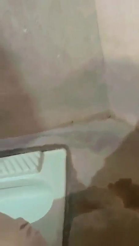 Sexy Desi girl sucking and fucking in bathroo