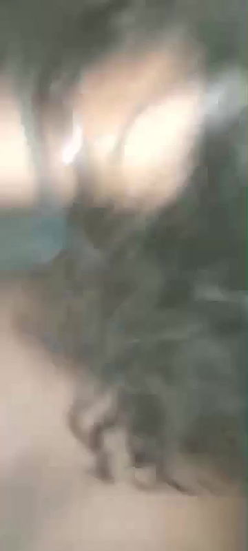 horny babe fucking moaning clip