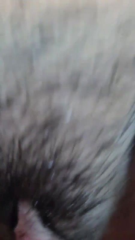 pussy fingering boyfriend to hijabi girlfriend