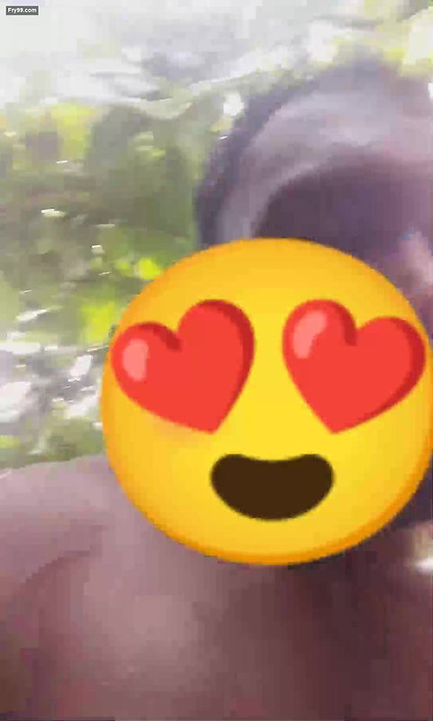 Telugu CPl Outdoor Fucking  5clips marged