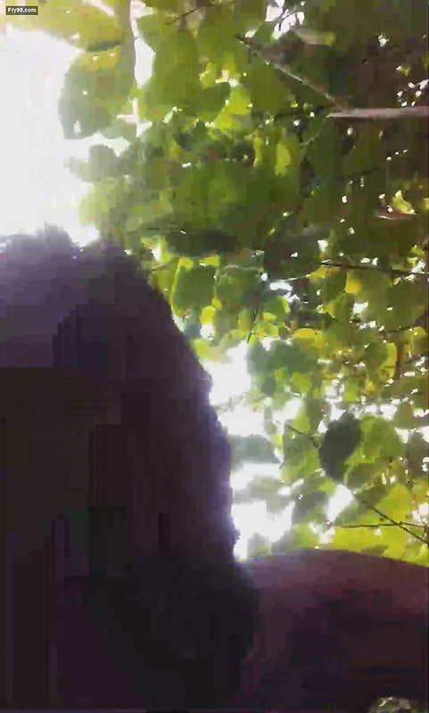 Telugu CPl Outdoor Fucking  5clips marged