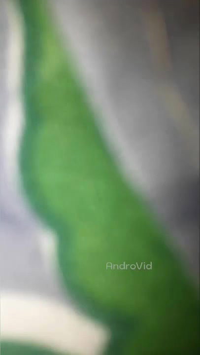 Busty south Indian girl MMS video