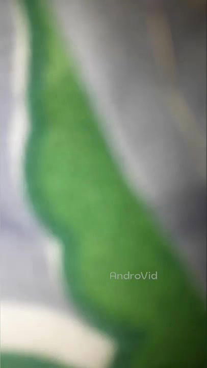 Busty south Indian girl MMS video