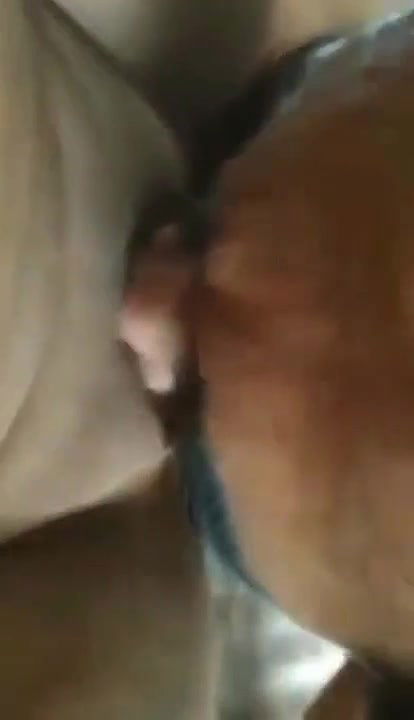 Bangladeshi MMS video leaked online