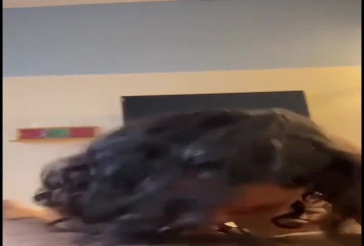 doggy style sex after bj