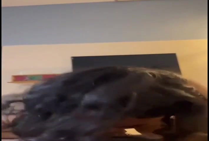 doggy style sex after bj