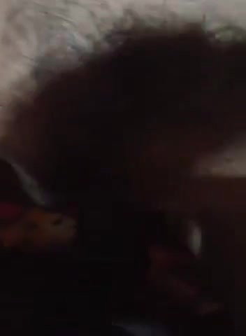 hairy pussy girl fucked