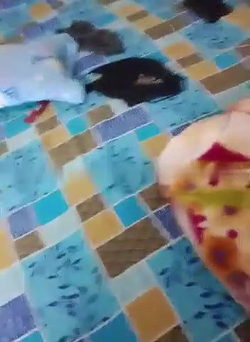 chcuhe dabake chudai kri