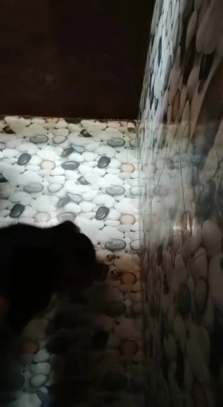 standing sex with bahbhi