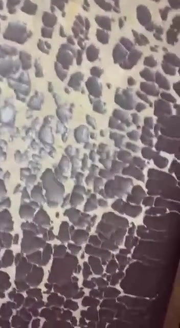 lund or ball chusi ladki ne