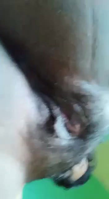 hairy pussy mms selfie mallu hot stripping video