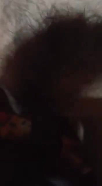 village lovers sex  mms