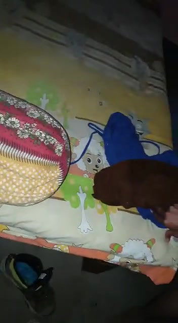 Virgin sexy GF pussy fucking MMS video