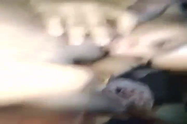 lugai ne lund chuske mja diya