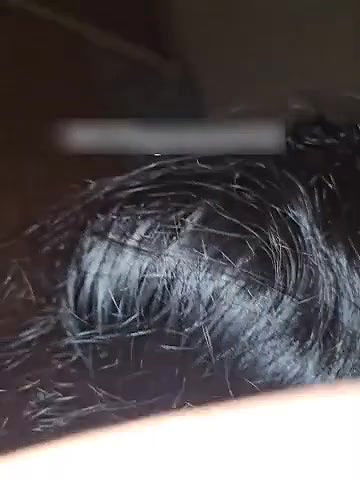 newly married wife bj