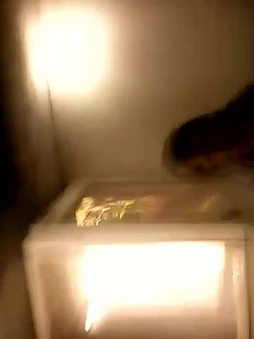 naukrani ke sath chudai