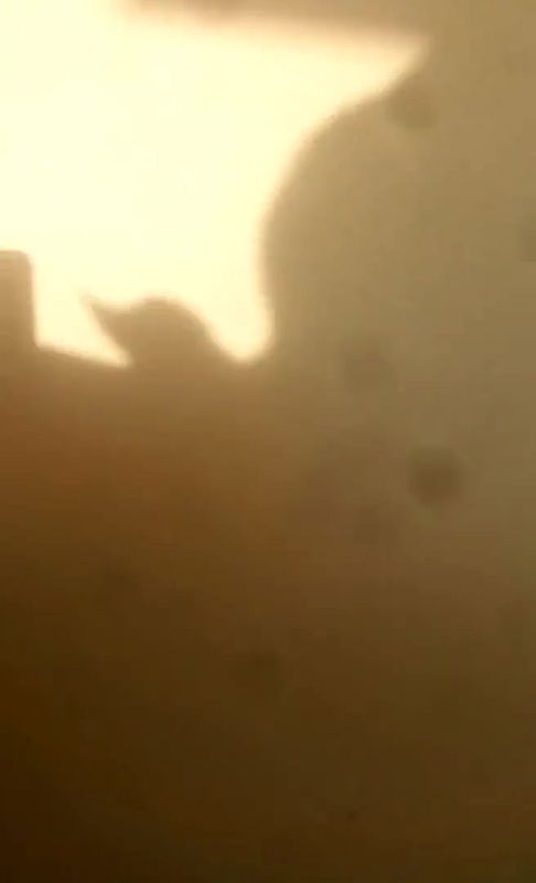 saree uthake khule mein chudai kri