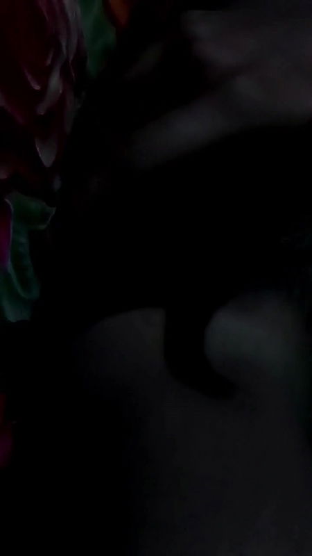 Cute Young Bengali GF Pressing Boobs Fingering Masturbating 2