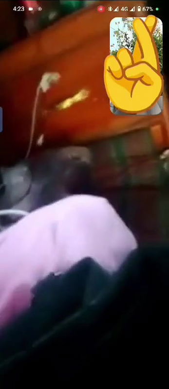 Village Girl Showing