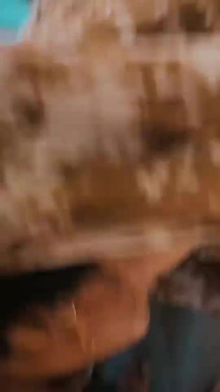 cute muslim wife blowjob