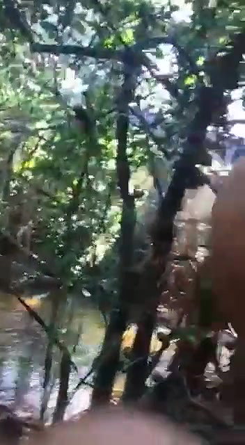 jungle mein ladki ne kri lund ki sawari