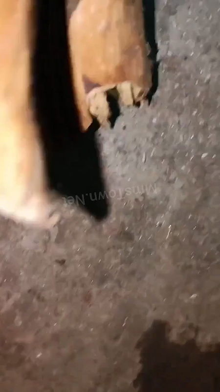 my grandma sleeping record 01