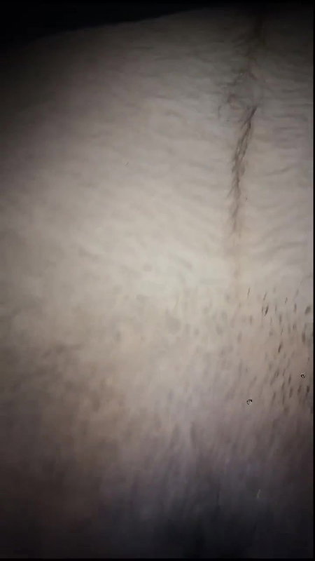 chubby girl nude show