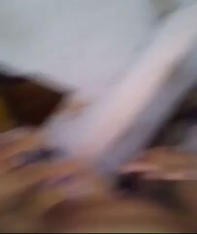 couple homemade sex video