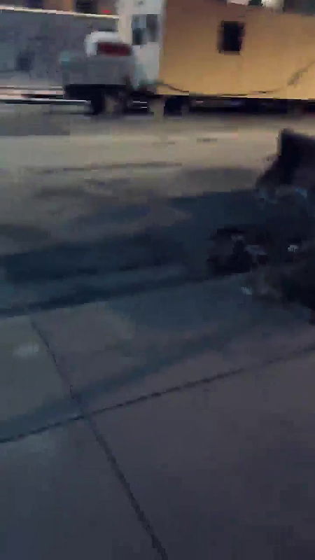 Horny Babe Outdoor Giving Blowjob