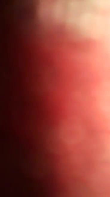 Desi sex MMS homemade video scandal