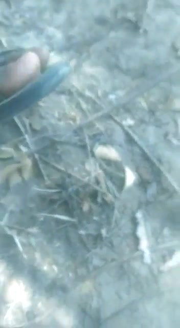 Desi Randi fucking outdoor sex MMS video