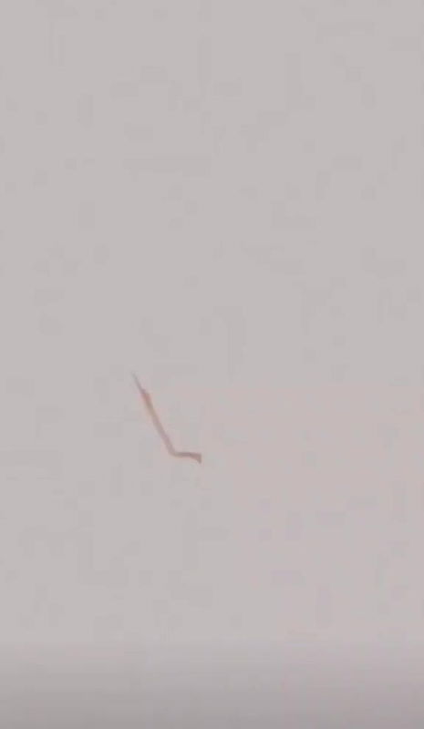 young pussy girlfriend