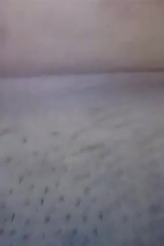 Desi Girl Showing Her Boobs and Pussy