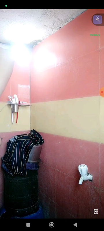 web cam girl asset show