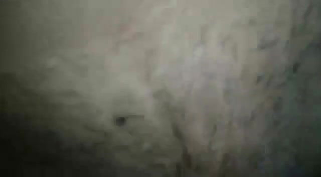 Rajasthani couple sex MMS video looks good