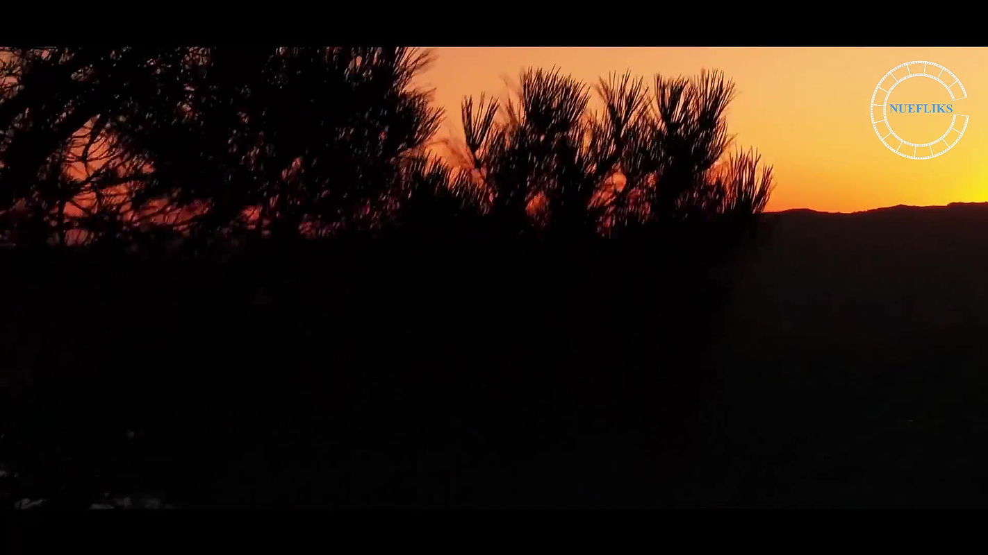 Chinchpeti -Episode 2